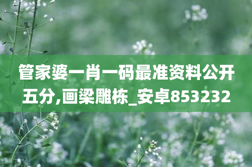 管家婆一肖一码最准资料公开五分,画梁雕栋_安卓853232
