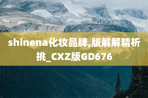 shinena化妆品牌,版解解精析挑_CXZ版GD676