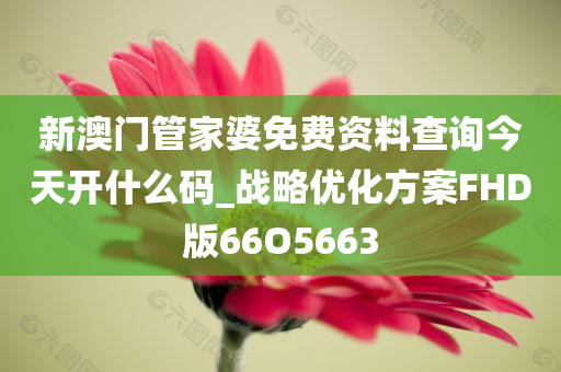 新澳门管家婆免费资料查询今天开什么码_战略优化方案FHD版66O5663
