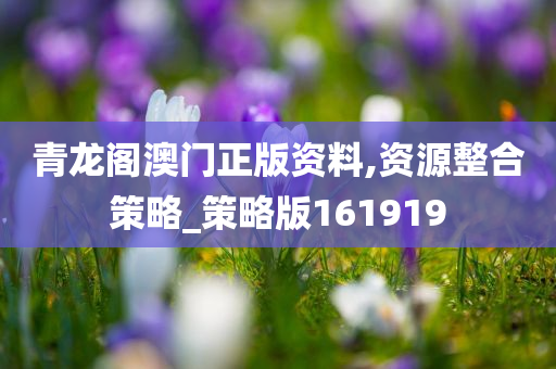 青龙阁澳门正版资料,资源整合策略_策略版161919