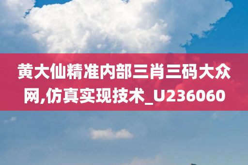 黄大仙精准内部三肖三码大众网,仿真实现技术_U236060