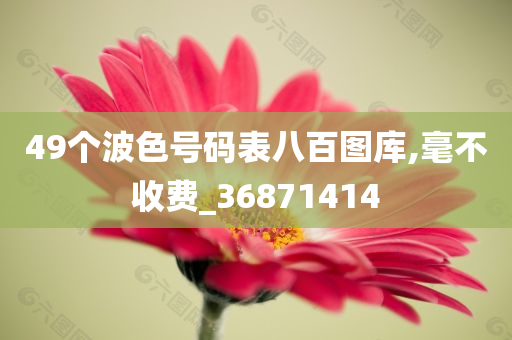 liuguanliang 第53页