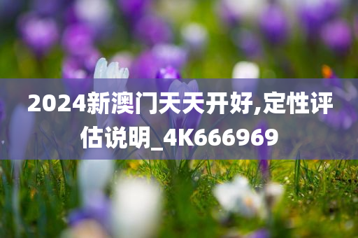 2024新澳门天天开好,定性评估说明_4K666969