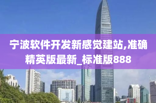 宁波软件开发新感觉建站,准确精英版最新_标准版888