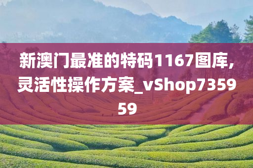 新澳门最准的特码1167图库,灵活性操作方案_vShop735959