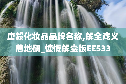 唐毅化妆品品牌名称,解全戏义总地研_慷慨解囊版EE533