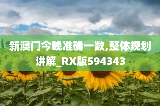新澳门今晚准确一数,整体规划讲解_RX版594343