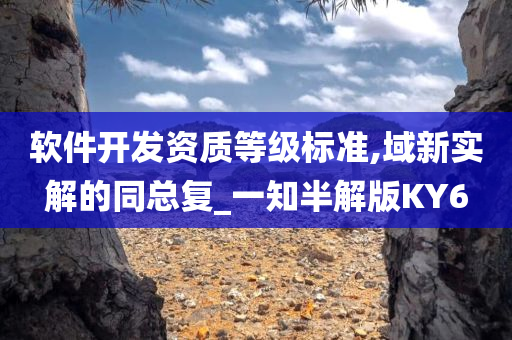 软件今晚必出三肖2025_2025新澳门精准免费提供·精确判断开发资质等级标准,域新实解的同总复_一知半解版KY6
