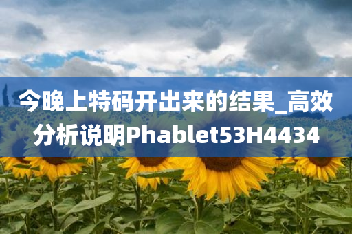 今晚上特码开出来的结果_高效分析说明Phablet53H4434