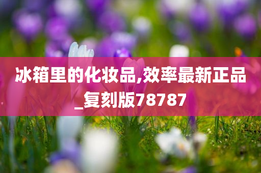 冰箱里的化妆品,效率最新正品_复刻版78787