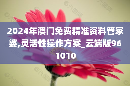 2024年澳门免费精准资料管冢婆,灵活性操作方案_云端版961010