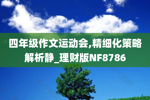 四年级作文运动会,精细化策略解析静_理财版NF8786