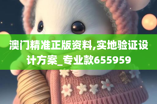 澳门精准正版资料,实地验证设计方案_专业款655959