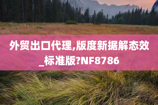 外贸出口代理,版度新据解态效_标准版?NF8786