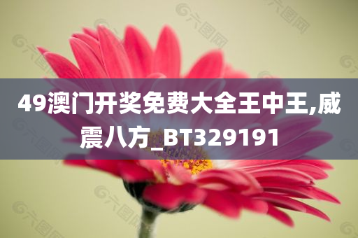 49澳门开奖免费大全王中王,威震八方_BT329191