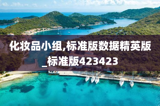 化妆品小组,标准版数据精英版_标准版423423