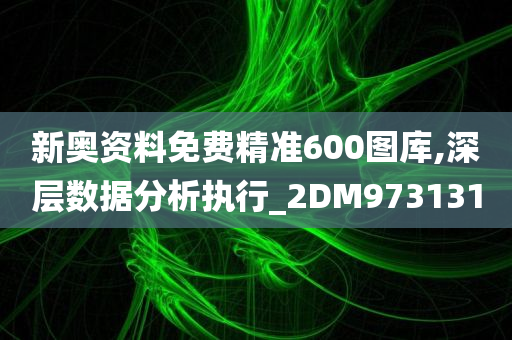 新奥资料免费精准600图库,深层数据分析执行_2DM973131