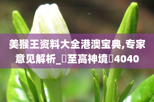 美猴王资料大全港澳宝典,专家意见解析_?至高神境?4040