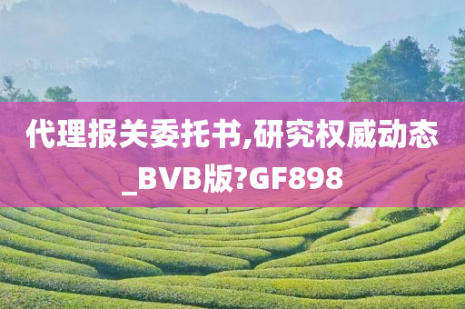 今晚必出三肖2025_2025新澳门精准免费提供·精确判断代理报关委托书,研究权威动态_BVB版?GF898