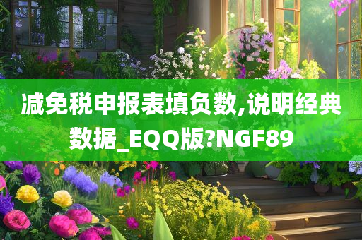 减免税申报表填负数,说明经典数据_EQQ版?NGF89