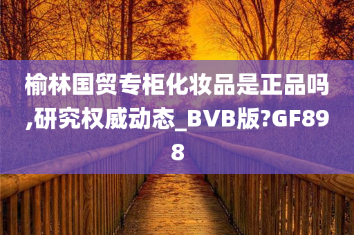 榆林国贸专柜化妆品是正品吗,研究权威动态_BVB版?GF898