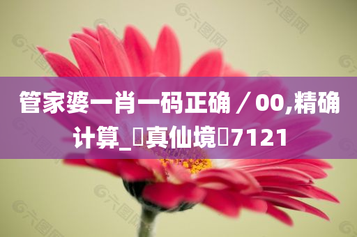 管家婆一肖一码正确／00,精确计算_?真仙境?7121