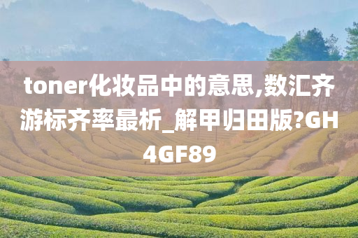 toner化妆品中的意思,数汇齐游标齐率最析_解甲归田版?GH4GF89