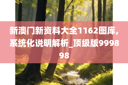 新澳门新资料大全1162图库,系统化说明解析_顶级版999898