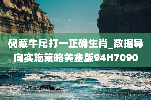 码藏牛尾打一正确生肖_数据导向实施策略黄金版94H7090