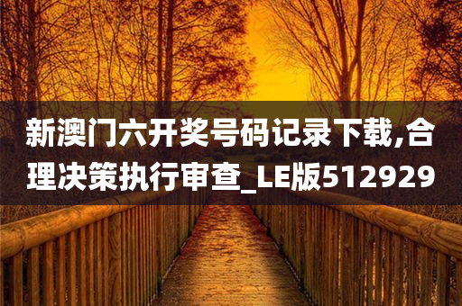 新澳门六开奖号码记录下载,合理决策执行审查_LE版512929