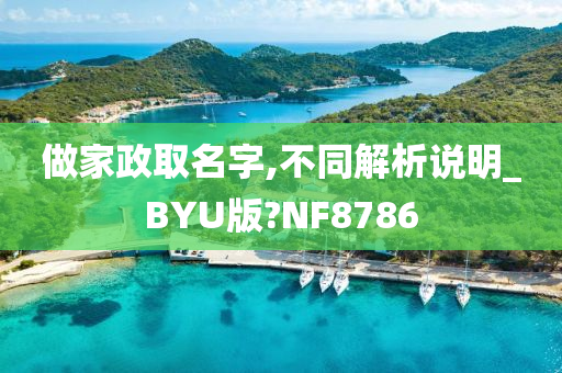 做家政取名字,不同解析说明_BYU版?NF8786