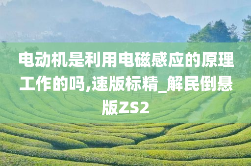电动机是利用电磁感应的原理工作的吗,速版标精_解民倒悬版ZS2