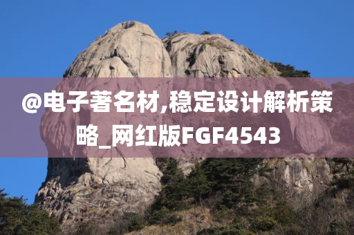 @电子著名材,稳定设计解析策略_网红版FGF4543
