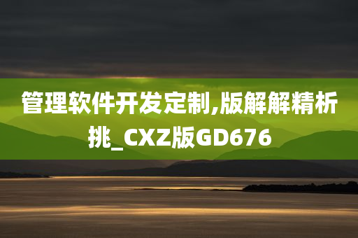 管理软件开发定制,版解解精析挑_CXZ版GD676