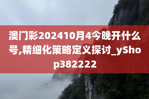 澳门彩202410月4今晚开什么号,精细化策略定义探讨_yShop382222