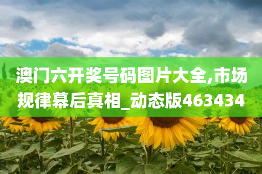 澳门六开奖号码图片大全,市场规律幕后真相_动态版463434