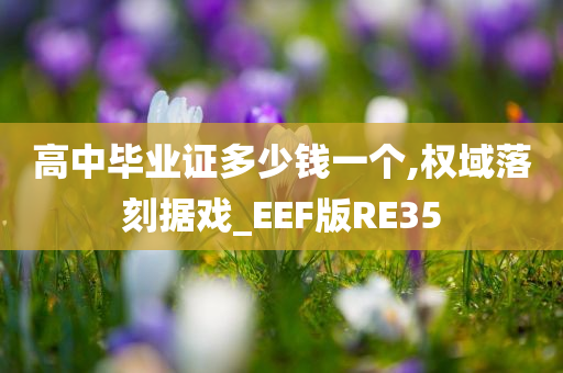 高中毕业证多少钱一个,权域落刻据戏_EEF版RE35