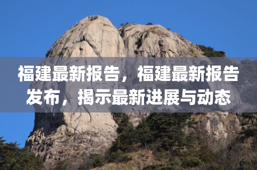 福建最新报告，福建最新报告发布，揭示最新进展与动态