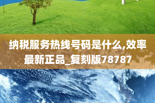 纳税服务热线号码是什么,效率最新正品_复刻版78787