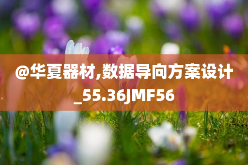 @华夏器材,数据导向方案设计_55.36JMF56