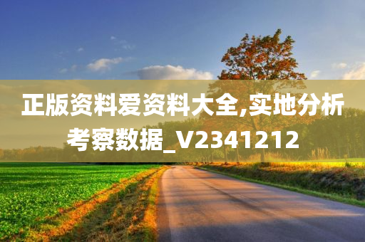 正版资料爱资料大全,实地分析考察数据_V2341212