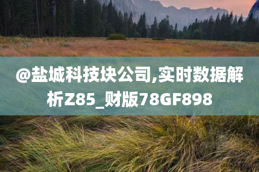 @盐城科技块公司,实时数据解析Z85_财版78GF898