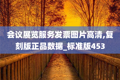 会议展览服务发票图片高清,复刻版正品数据_标准版453