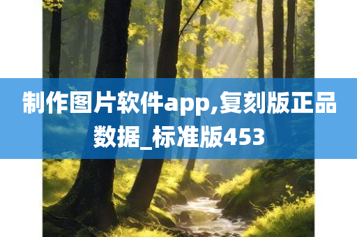 制作图片软件app,复刻版正品数据_标准版453