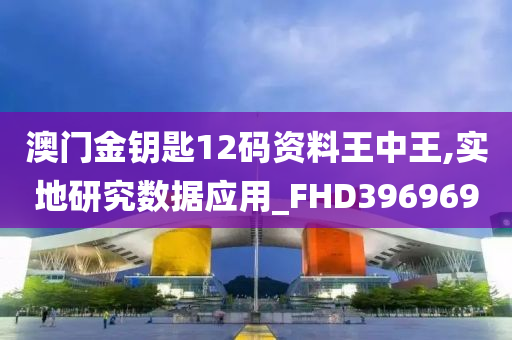 澳门金钥匙12码资料王中王,实地研究数据应用_FHD396969