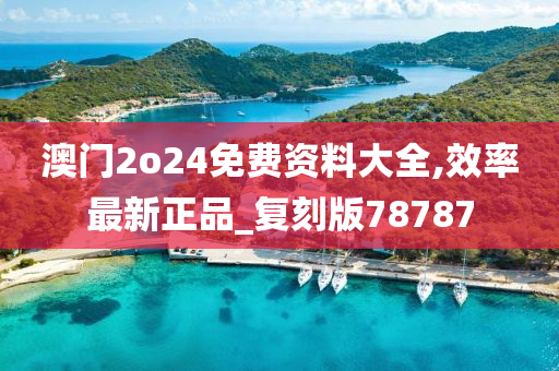 澳门2o24免费资料大全,效率最新正品_复刻版78787