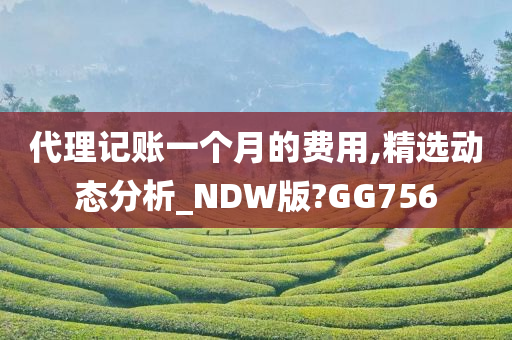 代理记账一个月的费用,精选动态分析_NDW版?GG756