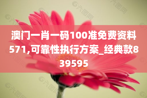 澳门一肖一码100准免费资料571,可靠性执行方案_经典款839595