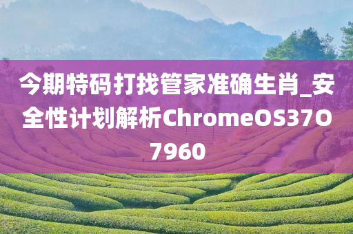 今期特码打找管家准确生肖_安全性计划解析ChromeOS37O7960