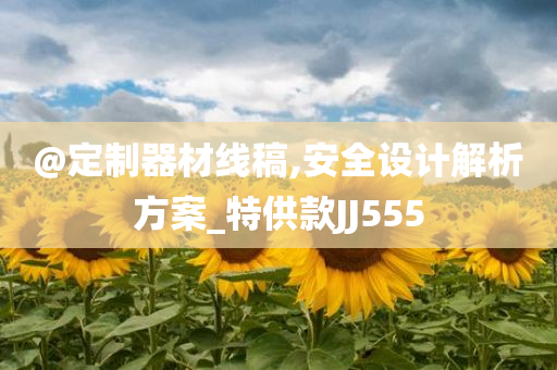 @定制器材线稿,安全设计解析方案_特供款JJ555